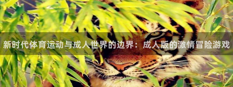 沐鸣2官网：新时代体育运动与成人世界的边界：成人版的激情冒险游戏