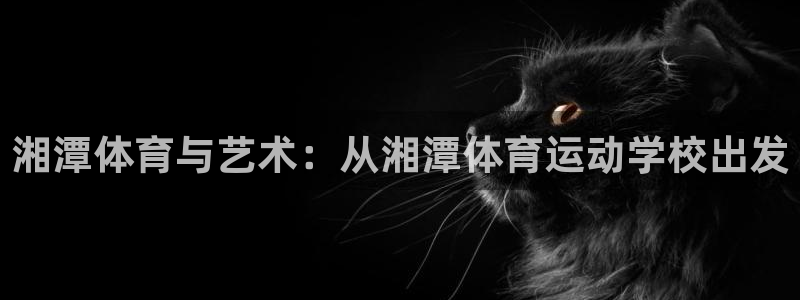 沐鸣平台主管：湘潭体育与艺术：从湘潭体育运动学校出发