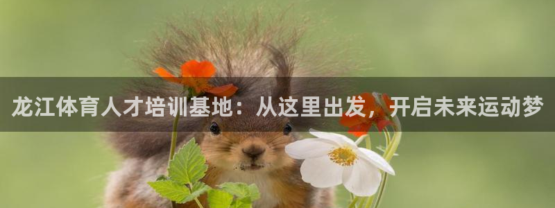 沐鸣体育游戏：龙江体育人才培训基地：从这里出发，开启未来运动梦