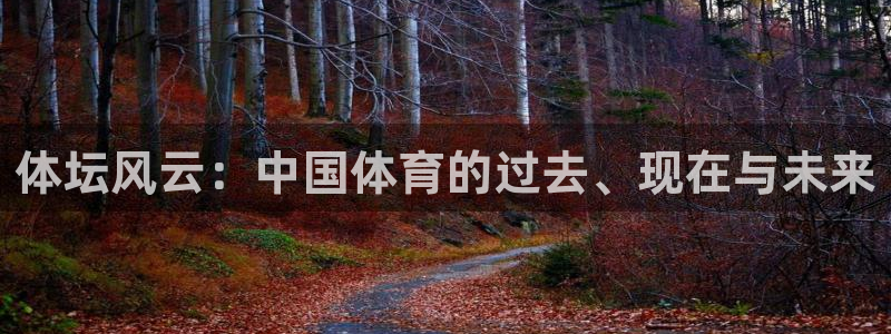 沐鸣体育凯捷平台代理：体坛风云：中国体育的过去、现在与未来