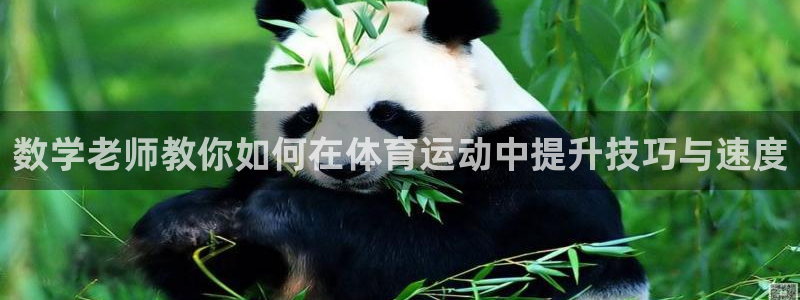 沐鸣体育用品：数学老师教你如何在体育运动中提升技巧与速度