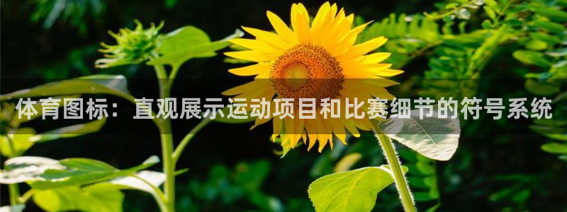 沐鸣体育官网注册：体育图标：直观展示运动项目和比赛细节的符号系统