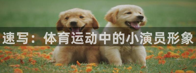 沐鸣app下载地址：速写：体育运动中的小演员形象