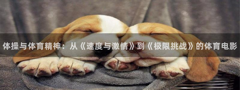 沐鸣2体育：体操与体育精神：从《速度与激情》到《极限挑战》的体育电影