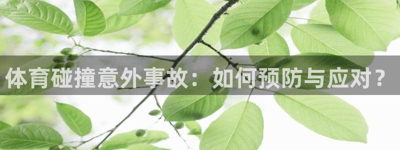 沐鸣体育eon：体育碰撞意外事故：如何预防与应对？