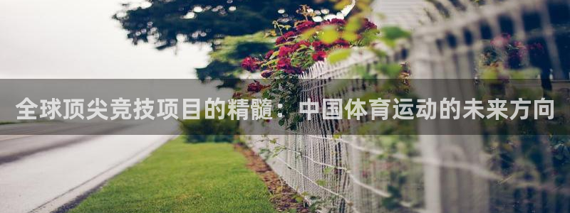 沐鸣集团股票：全球顶尖竞技项目的精髓：中国体育运动的未来方向