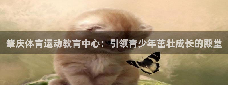 沐鸣2登录：肇庆体育运动教育中心：引领青少年茁壮成长的殿堂