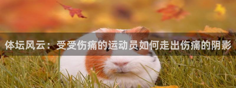 沐鸣集团股票：体坛风云：受受伤痛的运动员如何走出伤痛的阴影