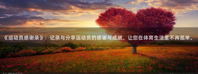 沐鸣4：《运动员感谢录》：记录与分享运动员的感谢与成就，让您在体育生活里不再孤单