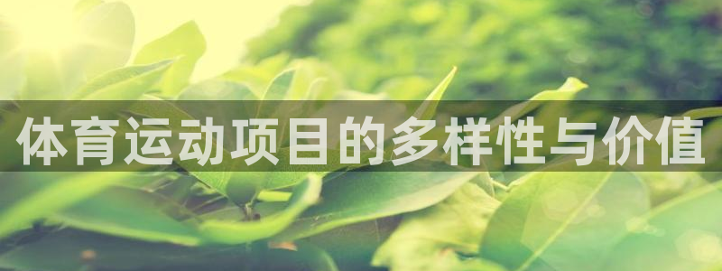 沐鸣电子有限公司：体育运动项目的多样性与价值