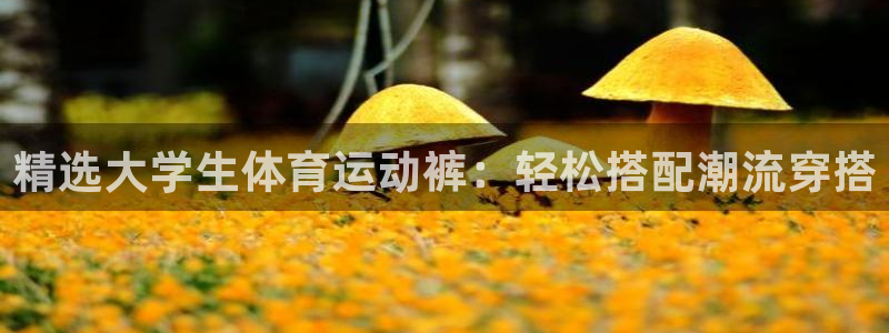 沐鸣集团官网：精选大学生体育运动裤：轻松搭配潮流穿搭