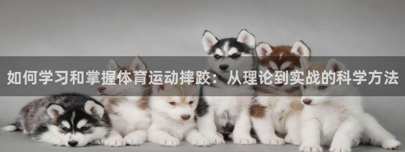 沐鸣体育在线注册：如何学习和掌握体育运动摔跤：从理论到实战的科学方法