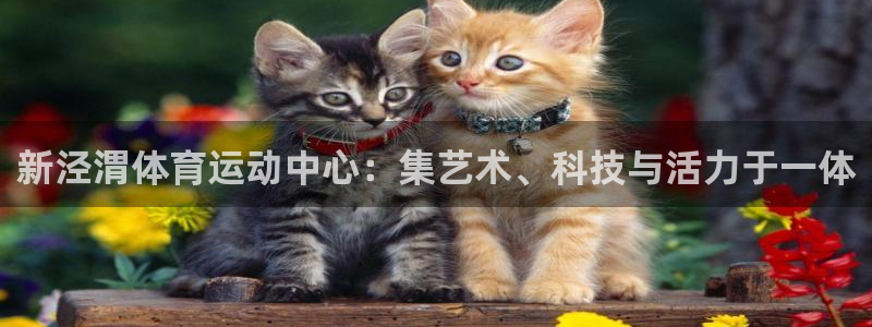 沐鸣体育凯捷平台注册：新泾渭体育运动中心：集艺术、科技与活力于一体