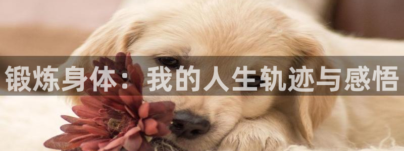 沐鸣4平台注册：锻炼身体：我的人生轨迹与感悟