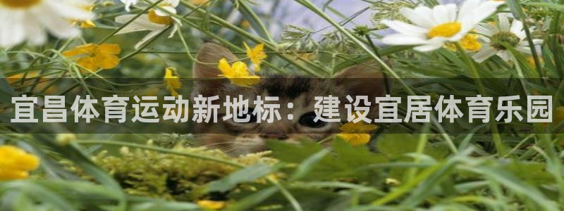 沐鸣体育2：宜昌体育运动新地标：建设宜居体育乐园