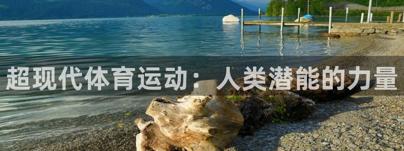成都沐鸣电子有限公司：超现代体育运动：人类潜能的力量
